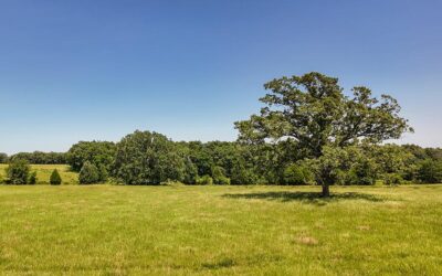 Own Land Sooner Without Waiting Years